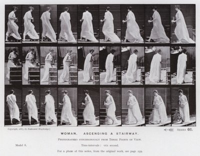 Hareket Halindeki İnsan Figürü: Merdivenden çıkan kadın (s/b fotoğraf) by Eadweard Muybridge