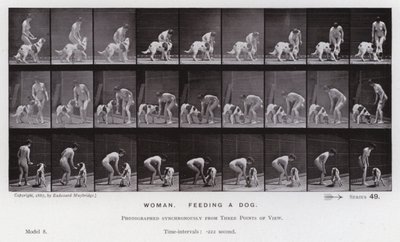 Hareket Halindeki İnsan Figürü: Köpeği besleyen kadın (s/b fotoğraf) by Eadweard Muybridge