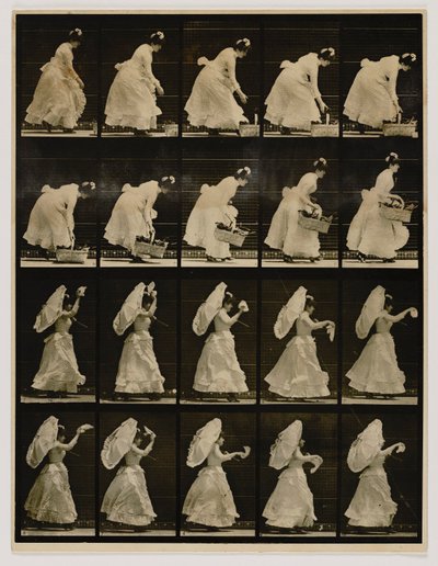  by Eadweard Muybridge