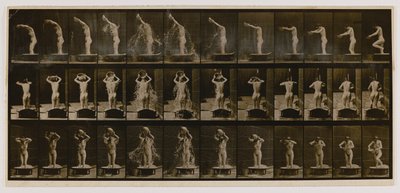  by Eadweard Muybridge