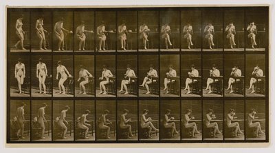  by Eadweard Muybridge