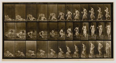  by Eadweard Muybridge