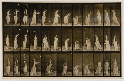  by Eadweard Muybridge