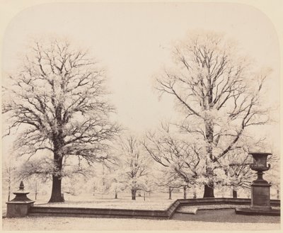 Hoarfrost, Bir Park Sahnesi by Earl of Caithness