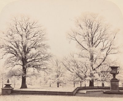 Hoarfrost, Bir Park Sahnesi, 1862. by Earl of Caithness James Sinclair