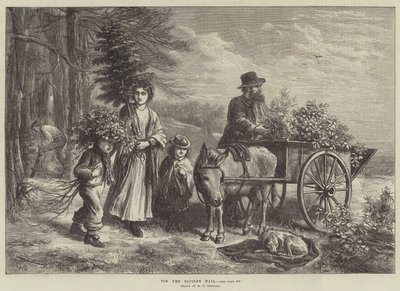 Squire