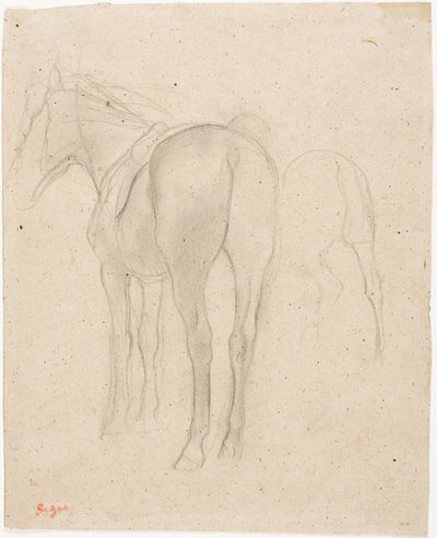 Bir At Çalışmaları by Edgar Degas