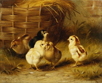 Sepetten Civcivler by Edgar Hunt