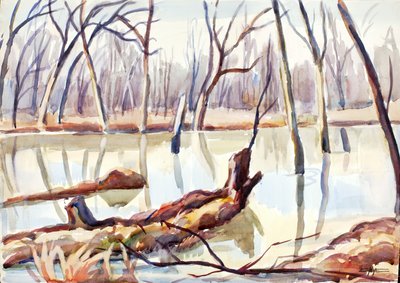 Rock Creek, Kış, ca. 1920-1929. by Edgar Nye