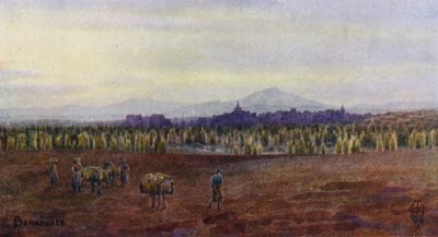 Kuzey İspanya: Benavente, Castro Gonzalo Köprüsü