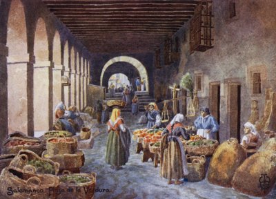 Kuzey İspanya: Salamanca, Plaza de la Verdura