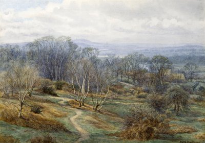 Hampstead Heath Harrow on the Hill, 1880 dolayları (kağıt üzerinde wc) by Edith Martineau