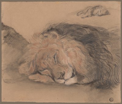 Aslan Başı ve Bir Aslan Taslağı by Edme Saint Marcel