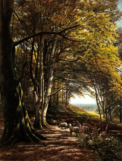 Orman açıklığında otlayan koyunlar (kağıt üzerine suluboya ve gövde rengi) by Edmund George Warren