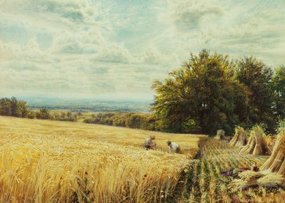 Biçerdöverler, 1865 by Edmund George Warren
