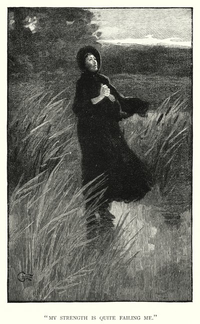 Charlotte Bronte tarafından Jane Eyre için illüstrasyon (gravür) by Edmund Henry Garrett