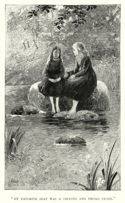 Charlotte Bronte tarafından Jane Eyre için illüstrasyon (gravür) by Edmund Henry Garrett