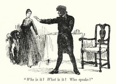 Charlotte Bronte tarafından Jane Eyre için illüstrasyon (lito) by Edmund Henry Garrett
