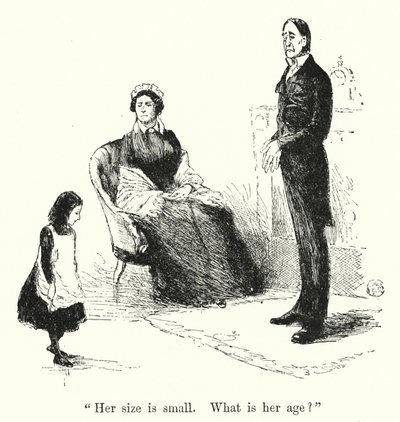 Charlotte Bronte (lito) tarafından Jane Eyre için illüstrasyon by Edmund Henry Garrett