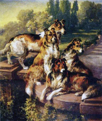 ಕೋಲಿಸ್ ಟರ್ಕ್ by Edmund Henry Osthaus