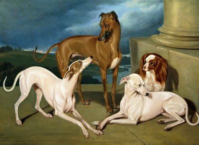 Whippets ve Kral Spaniel, 1837 by Edmund Jr Havell