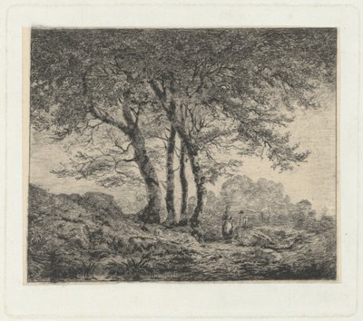 Montagna
