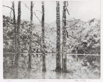 Toki-Noko, 1992 by Edouard Cremieux
