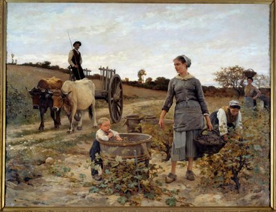 Languedoc