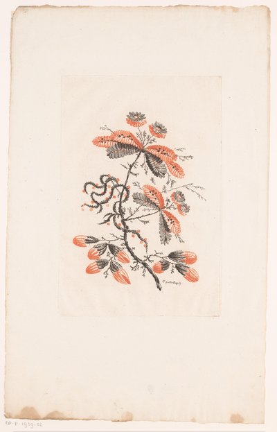 Çiçekler ve tomurcuklar Fleurs Idealle (dizi adı) by Edouard Gautier Dagoty