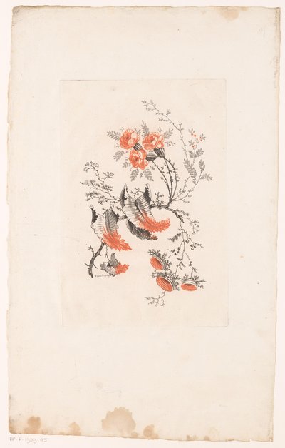 Çeşitli fanteziler İdeal Çiçekler (dizi başlığı) by Edouard Gautier Dagoty
