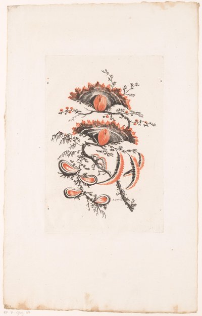 yelpaze şeklindeki çiçekler Fleurs Idéalle (seri başlığı) by Edouard Gautier Dagoty