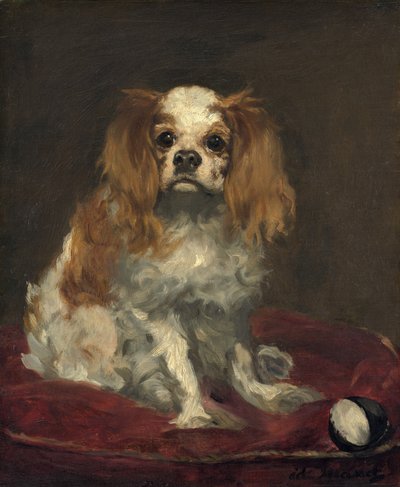 Bir Kral Charles Spaniel by Édouard Manet