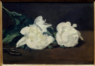 Beyaz şakayık ve secateur dalı Boyama Edouard Manet (1832-1883) 1864 Dim. 0,31x0,46 m. Paris. Orsay Müzesi by Édouard Manet