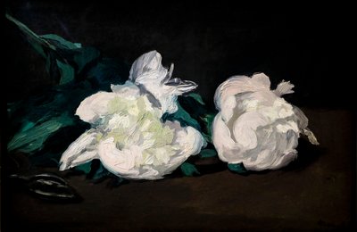 Beyaz şakayık ve budama makası dalı by Édouard Manet