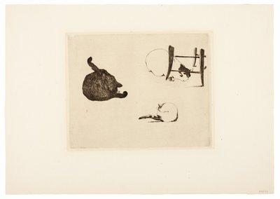 Kediler by Édouard Manet