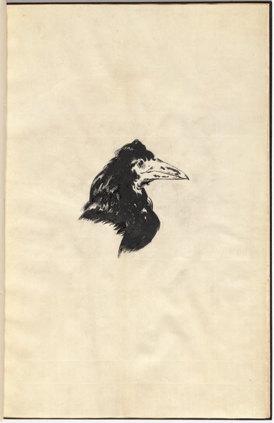 Kuzgun: Kuzgun by Edouard Manet, Edgar Allan Poe