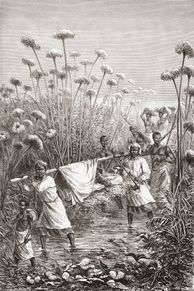 Dr. David Livingstone, ölümünden kısa bir süre önce Afrika