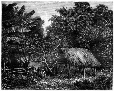 Guyana, Güney Amerika, 19. yüzyıl by Edouard Riou