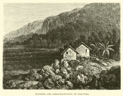 Tian-tian Hacienda ve Kakao-plantasyonu by Edouard Riou