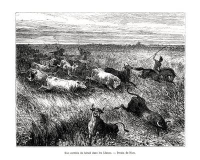 Hayvancılık, Los Llanos, Venezuela, 19. yüzyıl by Edouard Riou