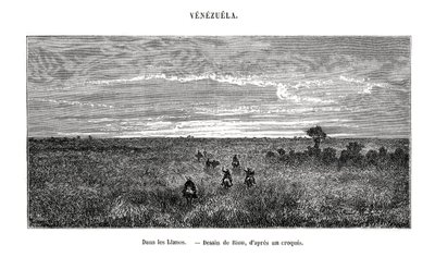 Los Llanos, Venezuela, 19. yüzyıl by Edouard Riou