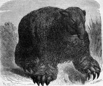 Prehistorya: bir megatherium