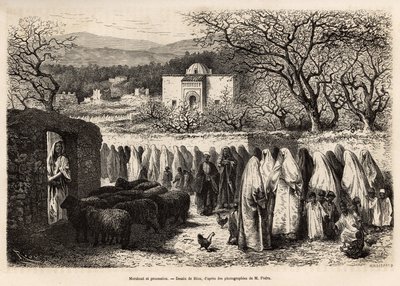 Marabout de Tlemcen