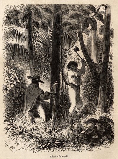 Venezüella ve Peru