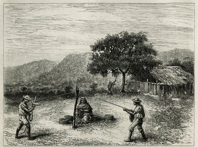 Cartago (Kolombiya) yakınlarındaki cabuya, Fourcroya dizisi, E.Andre tarafından Equinoxiale America