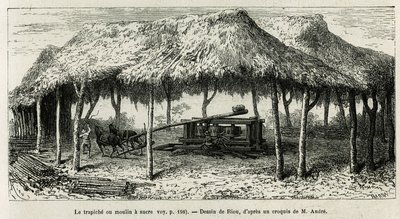 Equinoxiale America