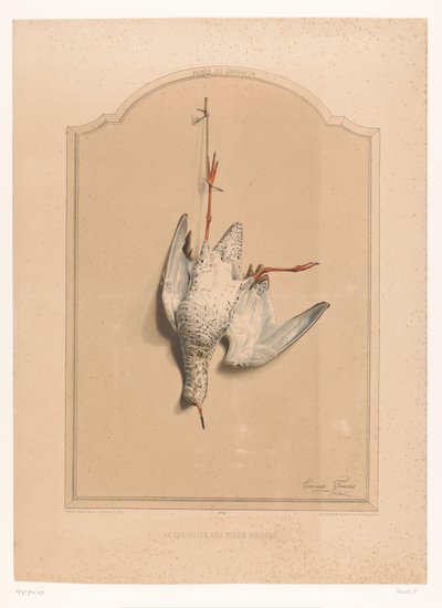 Bir bacağında asılı ölü kızılbacak Le chevalier aux pieds rouge (nesne üzerindeki başlık) Avcı Müzesi (dizi adı) Musée du chasseur (nesne üzerinde seri başlığı) by Edouard Travies