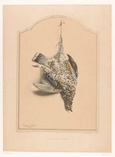 Tek ayak üzerinde asılı ölü dişi yakalı kümes hayvanı La gélinotte (dişi) (nesne üzerindeki başlık) Avcı Müzesi (dizi adı) Musée du chasseur (nesne üzerinde seri başlığı) by Edouard Travies