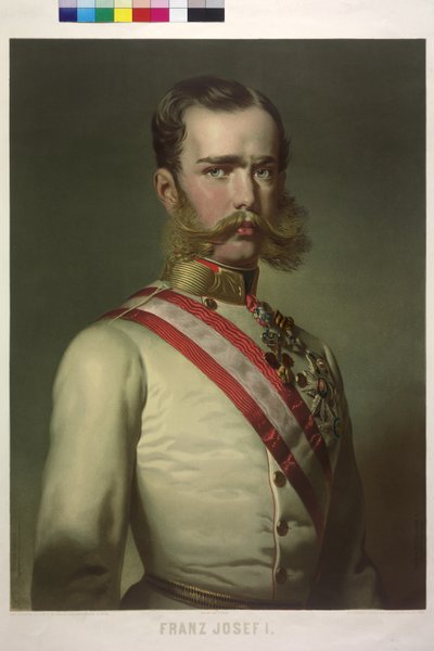 Avusturya İmparatoru I. Franz Joseph by Eduard Kaiser