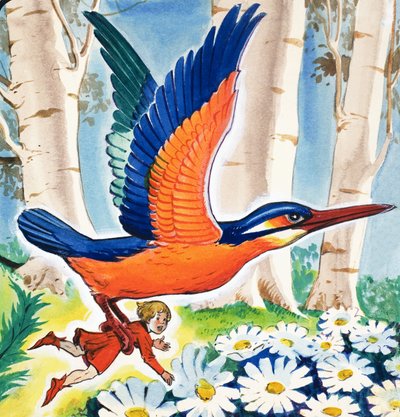  by Eduardo Teixeira Coelho